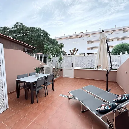 Hdfm Collection - Oasis