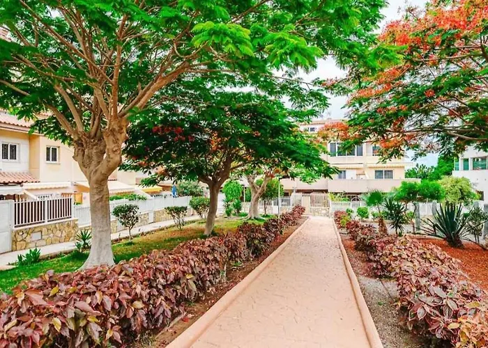 Hdfm Collection - Oasis Apartment